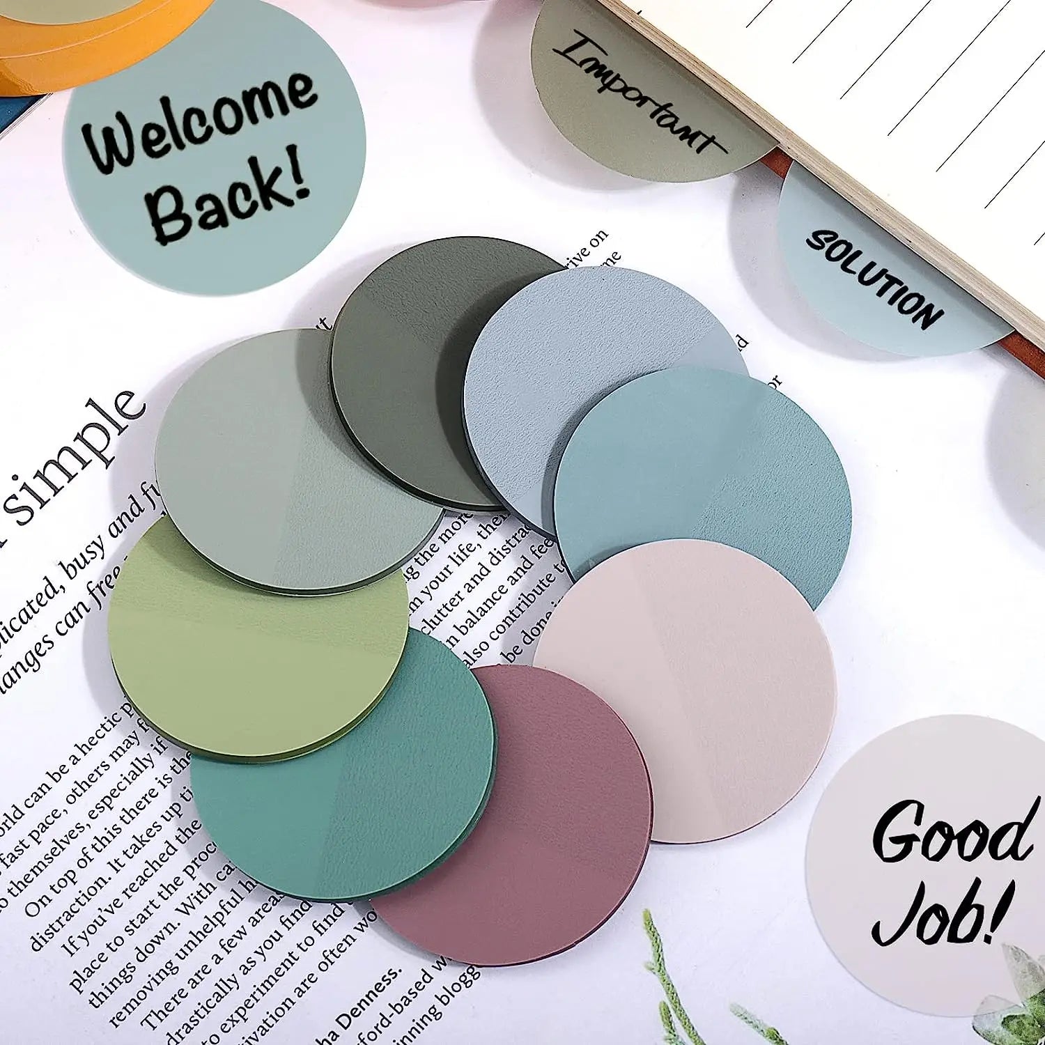 Sticky Note - waterproof, Morandi color round transparent sticky notes