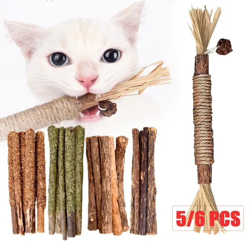 Cat Mint Sticks 6 Natural  - Catnip Chews & Molar Toys for Kittens