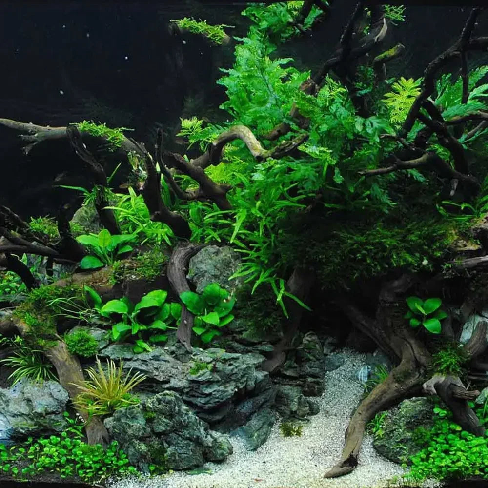 Aquarium fake plants Natural Fish Tank Decor - Tree Stump Landscaping